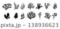 Coral template design silhouette vector.  138936623