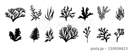 Coral template design silhouette vector.  138936623