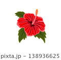 Silhouette tropical black hibiscus vector flowers set.  138936625