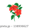 Silhouette tropical black hibiscus vector flowers set.  138936627