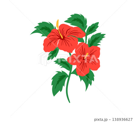Silhouette tropical black hibiscus vector flowers set.  138936627