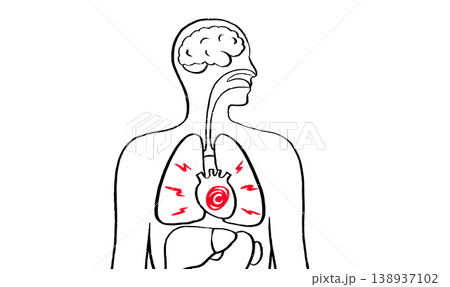 Human heart sketch 138937102