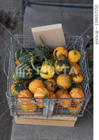 Vibrant Autumn Gourds and Squashes Displayed in a Rustic Wire Basket Vibrant Autumn Gourds and Squashes Displayed in a Rustic Wire Basket 138937150