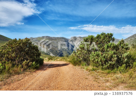 Dirt road leading to mountains with lush green plants and bushes growing along the path with a blue sky background. Landscape view of quiet scenery in a beautiful nature reserve with copy space Dirt road leading to mountains with lush green plants and bushes growing along the path with a blue sky background. Landscape view of quiet scenery in a beautiful nature reserve with copy space 138937576