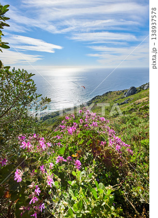 Quiet ocean view from a mountain landscape with vibrant malva flowers and greenery against a calm sea and cloudy blue horizon. Secluded nature walking trail in South Africa in summer with copy space Quiet ocean view from a mountain landscape with vibrant malva flowers and greenery against a calm sea and cloudy blue horizon. Secluded nature walking trail in South Africa in summer with copy space 138937578