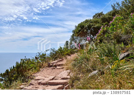 Rocky mountain trail on sunny summer day in Cape Town South Africa. Hiking path next to colorful plants with ocean background. Isolate terrain found on Lions Head in Table Mountain National Park Rocky mountain trail on sunny summer day in Cape Town South Africa. Hiking path next to colorful plants with ocean background. Isolate terrain found on Lions Head in Table Mountain National Park 138937581