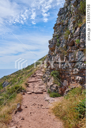 A footpath on mountain in Cape Town, South Africa. Outdoor trail for exploring in a peaceful, breathtaking cliff on Lions Head. Quiet nature in harmony, lush green growth on a peaceful, sunny morning A footpath on mountain in Cape Town, South Africa. Outdoor trail for exploring in a peaceful, breathtaking cliff on Lions Head. Quiet nature in harmony, lush green growth on a peaceful, sunny morning 138937598