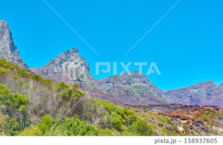 Copyspace and landscape of The Twelve Apostles mountain with lush pasture, flowers and blue sky copy space. Vegetation on a grassy slope or cliff with hiking trails to explore Cape Town, South Africa Copyspace and landscape of The Twelve Apostles mountain with lush pasture, flowers and blue sky copy space. Vegetation on a grassy slope or cliff with hiking trails to explore Cape Town, South Africa 138937605