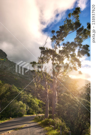 Scenic landscape view of Table Mountain National Park, Cape Town in South Africa. Beautiful scenery of a natural environment, roads, and the street against a cloudy blue sky in a popular tourist city 138937620