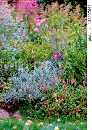 My garden. Magical garden of colorful flowers cultivated in the yard outside in nature during spring. Green and pink lush flora is an example of beautiful gardening in backyard during summer. My garden. Magical garden of colorful flowers cultivated in the yard outside in nature during spring. Green and pink lush flora is an example of beautiful gardening in backyard during summer. 138937643