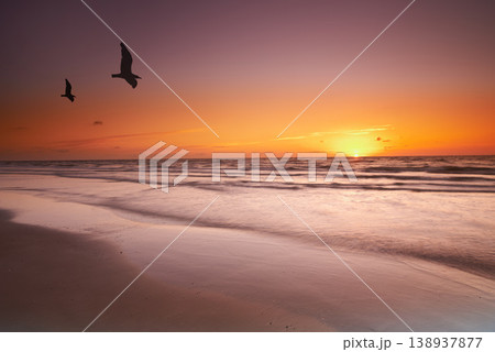 Seascape and landscape of a golden sunset on the west coast of Jutland in Loekken, Denmark. Beautiful cloudscape on an empty beach at dusk. Birds flying over the ocean in the evening with copyspace Seascape and landscape of a golden sunset on the west coast of Jutland in Loekken, Denmark. Beautiful cloudscape on an empty beach at dusk. Birds flying over the ocean in the evening with copyspace 138937877