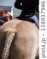 Braided horse tail in County Donegal, Ireland 138937946