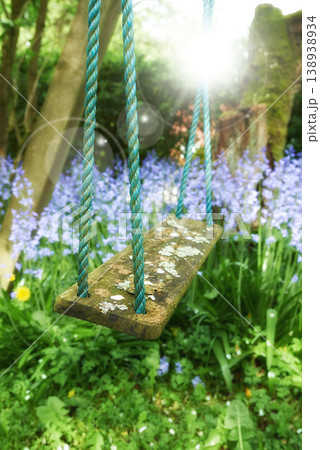 Closeup of a fun wooden tree swing hanging on nylon rope in a serene, peaceful private backyard at home. Lens flare background, purple lavender plants, flowers growing in an empty and tranquil garden 138938934
