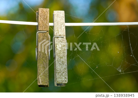 Wooden pegs with spider webs on a washing line against a blurred background. Closeup of a cobweb strung alongside two weathered old clothespins. Ecosystem and biodiversity of nature in a modern world Wooden pegs with spider webs on a washing line against a blurred background. Closeup of a cobweb strung alongside two weathered old clothespins. Ecosystem and biodiversity of nature in a modern world 138938945