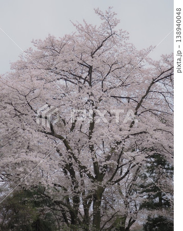 花曇の朝(afli20260404061643) 花曇の朝(afli20260404061643) 138940048