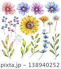 Watercolor flower, leaves and berries set. Sunflower, blooming cosmos, white daisy chamomile, eucalyptus, Ilex. Botanical clip art. Hand drawn illustration isolated background. Wedding invitation 138940252