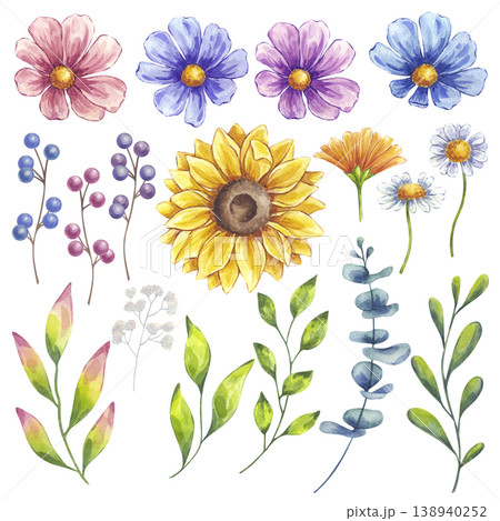 Watercolor flower, leaves and berries set. Sunflower, blooming cosmos, white daisy chamomile, eucalyptus, Ilex. Botanical clip art. Hand drawn illustration isolated background. Wedding invitation 138940252