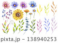 Watercolor flower, leaves and berries set. Sunflower, blooming cosmos, white daisy chamomile, eucalyptus, Ilex. Botanical clip art. Hand drawn illustration isolated background. Wedding invitation 138940253
