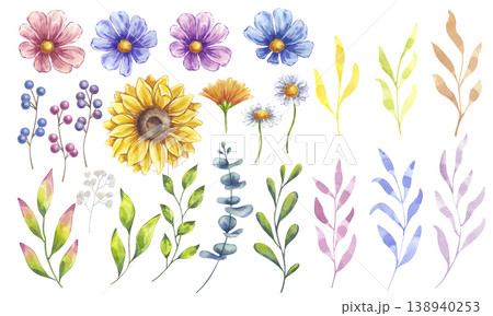 Watercolor flower, leaves and berries set. Sunflower, blooming cosmos, white daisy chamomile, eucalyptus, Ilex. Botanical clip art. Hand drawn illustration isolated background. Wedding invitation 138940253