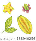 Starfruit watercolor set whole and slice yellow tropical fruit, leaves, flowers. Averrhoa carambola or Bilimbi. Botanical exotic star apple. Hand drawn illustration isolated on white background. 138940256