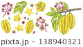 Starfruit watercolor banner set whole and slice yellow tropical fruit, leaves, flowers. Averrhoa carambola or Bilimbi. Botanical exotic star apple. Hand drawn illustration isolated white background 138940321