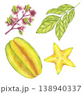 Starfruit watercolor set whole and slice yellow tropical fruit, leaves, flowers. Averrhoa carambola or Bilimbi. Botanical exotic star apple. Hand drawn illustration isolated on white background. 138940337