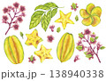 Starfruit watercolor banner set whole and slice yellow tropical fruit, leaves, flowers. Averrhoa carambola or Bilimbi. Botanical exotic star apple. Hand drawn illustration isolated white background 138940338