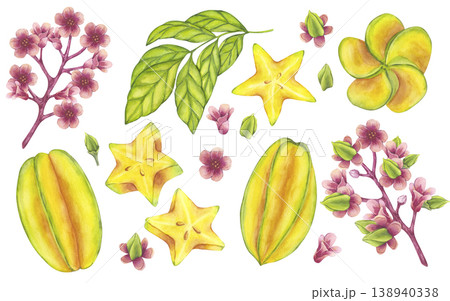 Starfruit watercolor banner set whole and slice yellow tropical fruit, leaves, flowers. Averrhoa carambola or Bilimbi. Botanical exotic star apple. Hand drawn illustration isolated white background 138940338