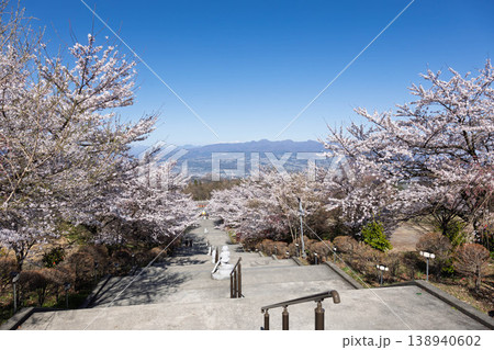 春の法水寺　群馬県渋川市 138940602