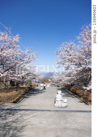 春の法水寺 群馬県渋川市 春の法水寺 群馬県渋川市 138940603