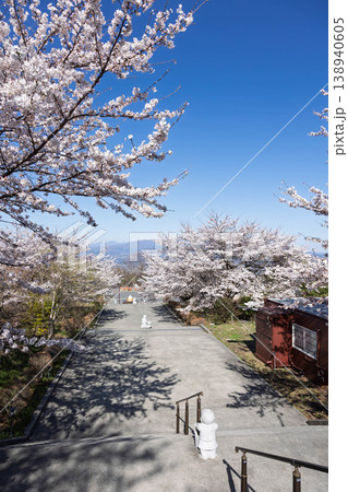 春の法水寺 群馬県渋川市 春の法水寺 群馬県渋川市 138940605