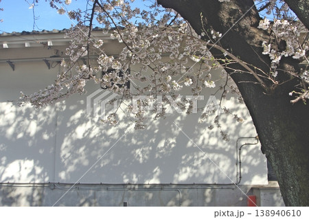 春の新田荘歴史資料館(2022.4.1) 壁桜と桜の木の開花です(旧東毛歴史資料館)シルエット 春の新田荘歴史資料館(2022.4.1) 壁桜と桜の木の開花です(旧東毛歴史資料館)シルエット 138940610