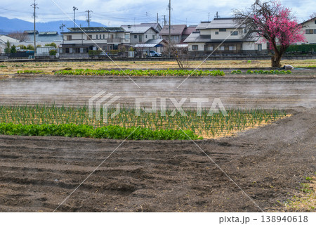 地霧立つ畑【安曇野】 138940618