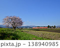 高岡古城公園の梅園 138940985