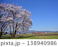 高岡古城公園の梅園 138940986