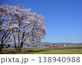 一本桜と城端線 138940988