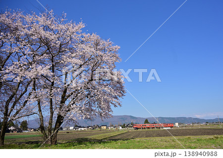 一本桜と城端線 一本桜と城端線 138940988