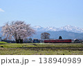 一本桜と城端線 138940989
