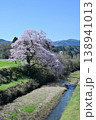 向野の桜 138941013