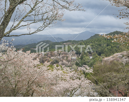 山肌を染める千年の桜、吉野山・蔵王堂の春 山肌を染める千年の桜、吉野山・蔵王堂の春 138941347