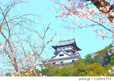 愛知県犬山市、犬山城と桜の風景 138941754