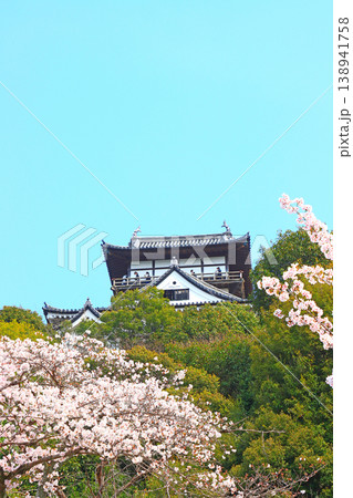 愛知県犬山市、犬山城と桜の風景 愛知県犬山市、犬山城と桜の風景 138941758