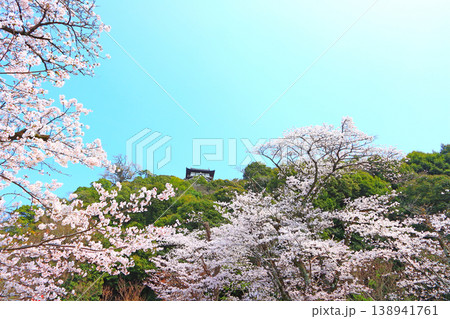 愛知県犬山市、犬山城と桜の風景 愛知県犬山市、犬山城と桜の風景 138941761