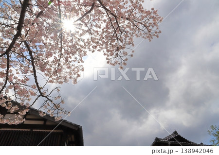 満開の桜の木 青空 屋根 満開の桜の木 青空 屋根 138942046