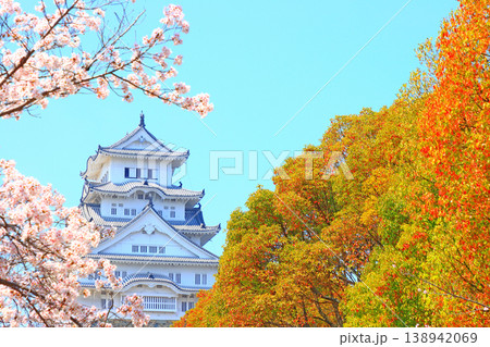 兵庫県姫路市、満開の桜と姫路城の風景 兵庫県姫路市、満開の桜と姫路城の風景 138942069