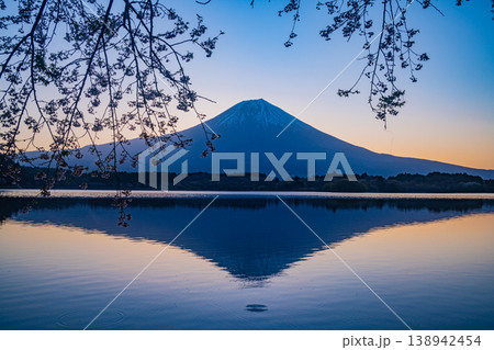 (静岡県)田貫湖 湖畔の桜と富士山 日の出前 (静岡県)田貫湖 湖畔の桜と富士山 日の出前 138942454