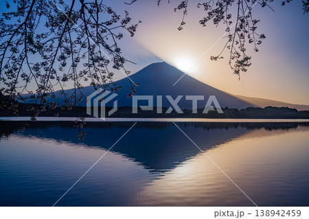 (静岡県)田貫湖 湖畔の桜と富士山 日の出前 (静岡県)田貫湖 湖畔の桜と富士山 日の出前 138942459