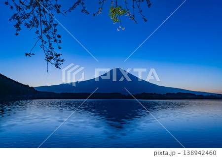 (静岡県)田貫湖 湖畔の桜と富士山 日の出前 (静岡県)田貫湖 湖畔の桜と富士山 日の出前 138942460