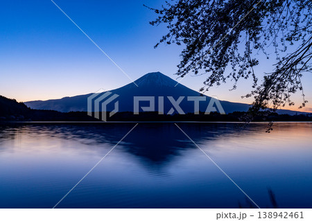 (静岡県)田貫湖 湖畔の桜と富士山 日の出前 (静岡県)田貫湖 湖畔の桜と富士山 日の出前 138942461