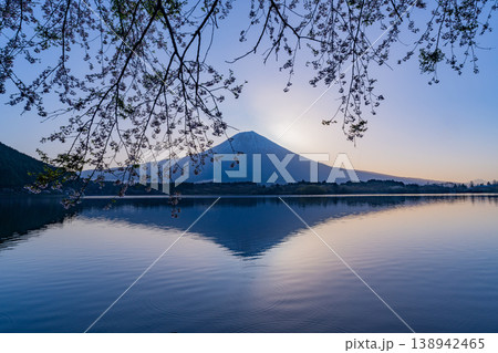 （静岡県）田貫湖　湖畔の桜と富士山　日の出前 138942465